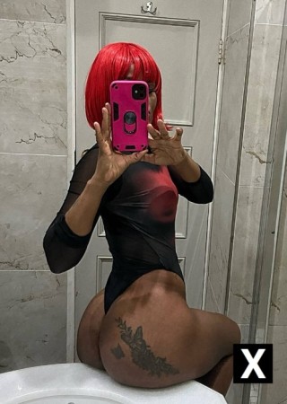 Memphis | Escort Ava-25-273782-photo-3