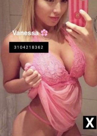Wentzville | Escort Vanessa-28-236934-photo-5