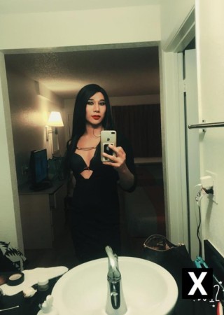 Palm Springs | Escort Victoria-24-133812-photo-3