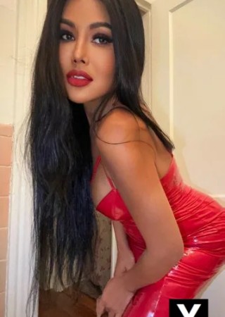 Brookline | Escort Gigi-30-271000-photo-6