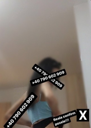 Oradea | Escort Hei!!!!!New-0-228236-photo-3