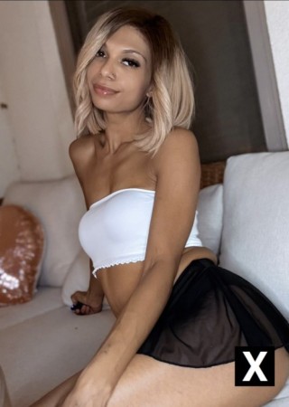 Dallas | Escort Alexa Skye-29-274516-photo-2