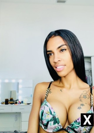 Pinellas Park | Escort Tifany-24-261993-photo-5