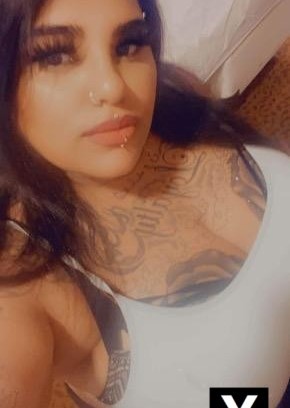 Oak Lawn | Escort amira-23-267309-photo-1