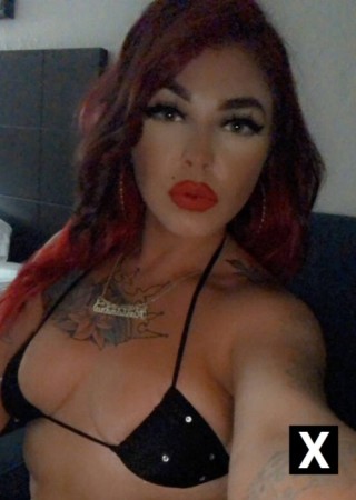 Orlando | Escort Bambi-24-276458-photo-2