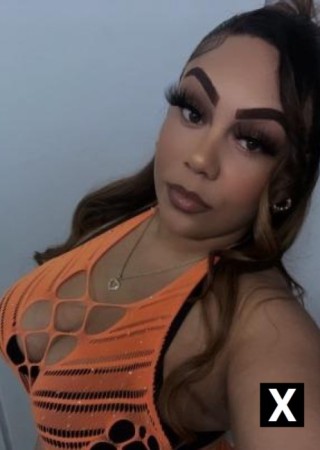 Gallatin | Escort CiCi-25-276416-photo-6
