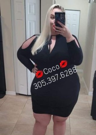 Ocala | Escort Coco-39-206579-photo-3