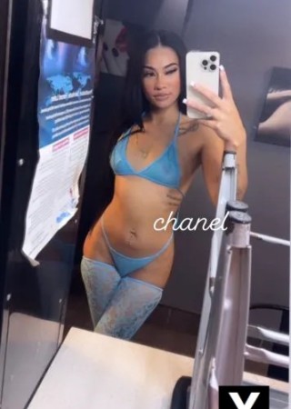 Goodyear | Escort Ryver-25-273296-photo-1