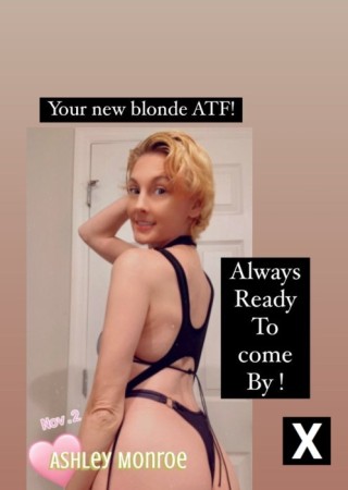 Poinciana | Escort Ashmon-36-277859-photo-1