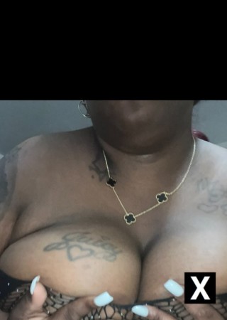 Montgomery | Escort NOVACAINE-25-272892-photo-4