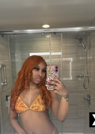 Clinton Township | Escort Trophy-21-288472-photo-2