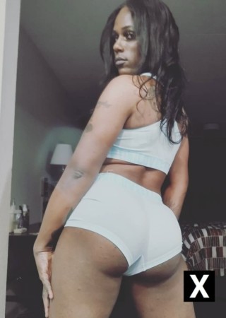 North Carolina | Escort Harmoni-37-275365-photo-1