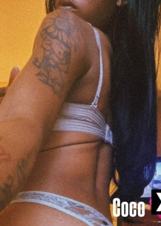 Atlanta | Escort Coco-23-279640-photo-2
