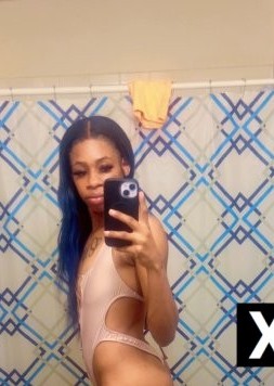 DeSoto | Escort Kiwibanks-24-289043-photo-1