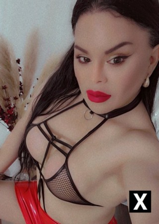 North Lauderdale | Escort Katy Rodhes-28-276205-photo-1
