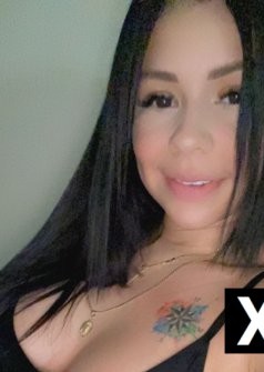 Lexington | Escort Genesis-26-277264-photo-3
