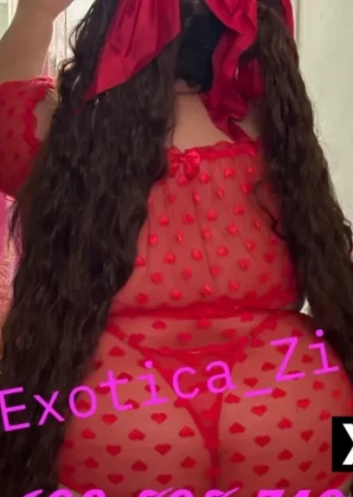 Cuthbert | Escort Exotica Zi-25-288806-photo-2