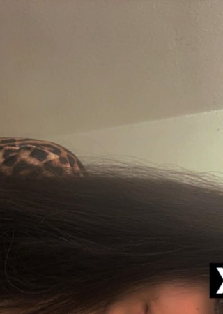 Alabama | Escort Brooklyn-25-284683-photo-1
