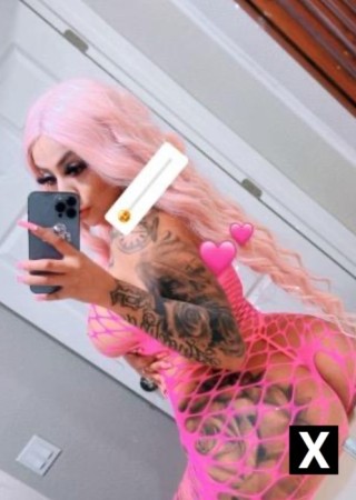 Colorado | Escort Jblue-22-273885-photo-1