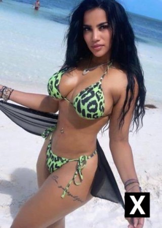 Sarasota | Escort Perla-25-273511-photo-3