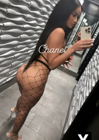 Goodyear | Escort Ryver-25-273296-photo-6