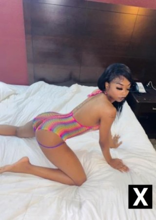 Spartanburg | Escort Kay-29-260091-photo-2