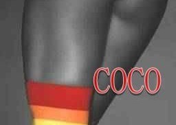 Philadelphia | Escort Coco-24-134771-photo-2