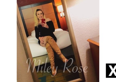 Everett | Escort Miley Rose-24-192380-photo-4