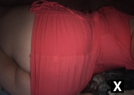 Biloxi | Escort Gina McCartney-32-249198-photo-1