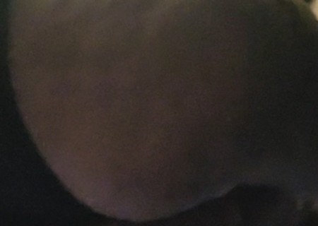 Bronx | Escort Miya-23-279696-photo-5