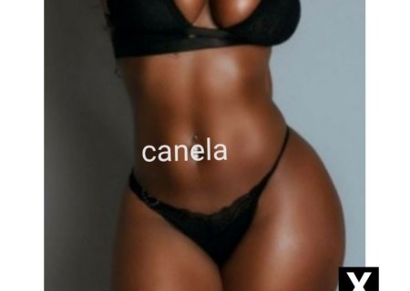 Tunbridge Wells | Escort CANELA-34-187019-photo-3