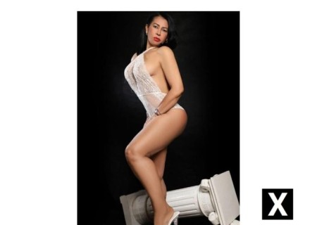 Fife | Escort CINDY-38-274591-photo-6