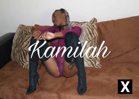 Lexington | Escort Kamilah-22-124869-photo-3