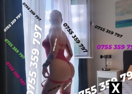 Timisoara | Escort Nouă In Orasul Tău 0755359797-22-227509-photo-5