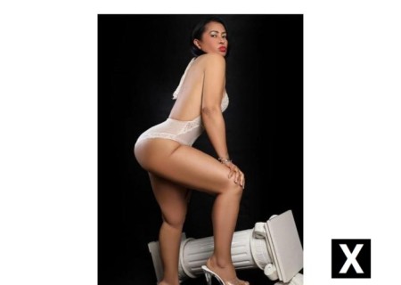 Fife | Escort CINDY-38-274591-photo-4