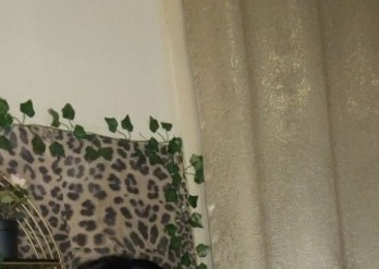 Bedworth | Escort SARA-25-287229-photo-2