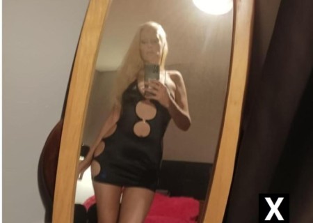 Colchester | Escort KATY J-30-264501-photo-2