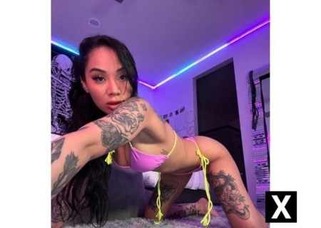 Workington | Escort CAROLINA-26-270303-photo-2