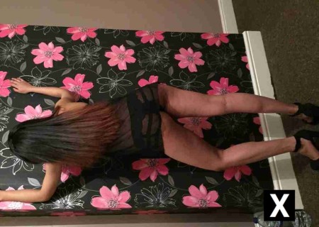 Darlington | Escort AFRODITA-19-183661-photo-2