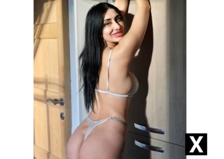 Basingstoke | Escort Alis-27-274576-photo-2
