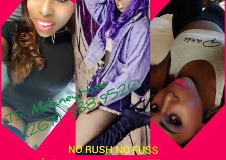 Jersey City | Escort Ts Melaneyrose-23-102856-photo-10