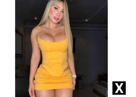Ashington | Escort LINA-28-274712-photo-2