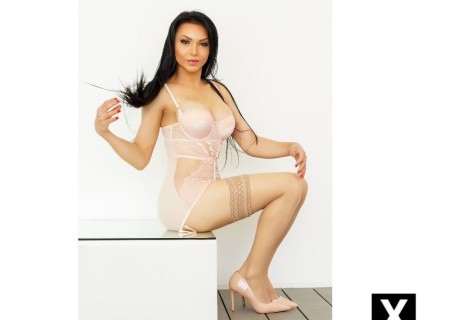 Harrogate | Escort Brazilian escort-25-184993-photo-1