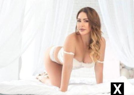 Pforzheim | Escort DAMMSTR-30-239991-photo-4