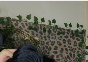 Bedworth | Escort SARA-25-287229-photo-1